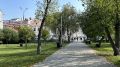 Cквер Уральских добровольцев в Перми разделят на тематические зоны