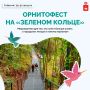 Кто живет в городских гнездовьях?