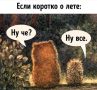 Последний день лета. Успеть за 12 часов