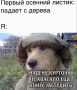 Первые осенние заморозки зафиксированы в Пермском крае