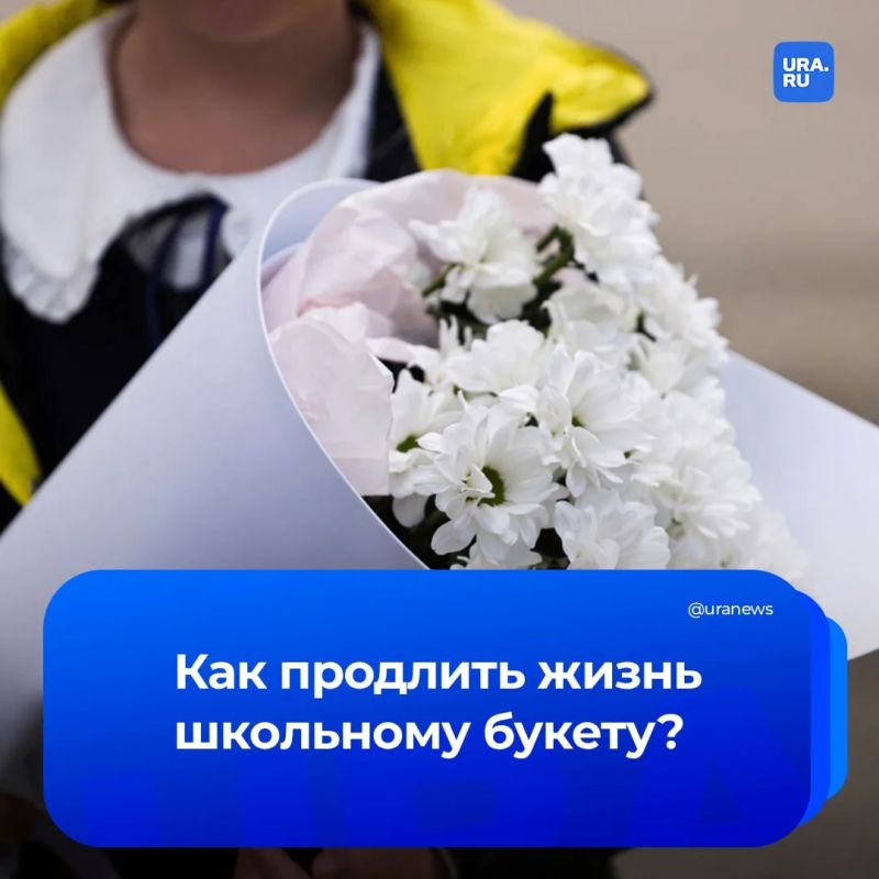 Секреты долгой жизни букета: что советуют россиянам ученые