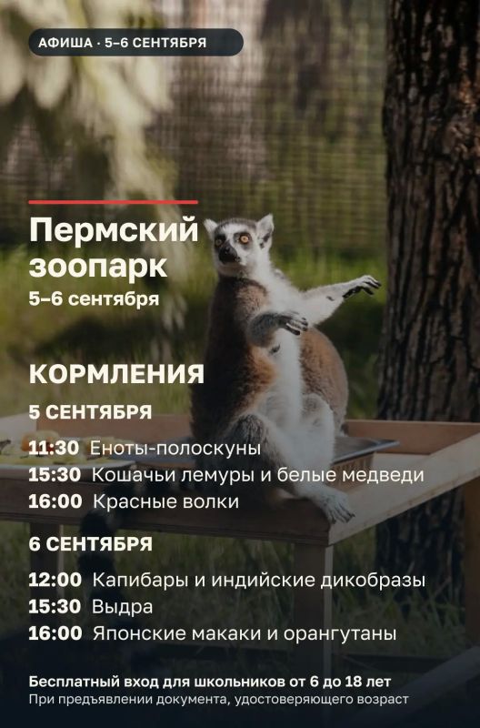 Эдуард Соснин: #Афиша_Перми. . В эти выходные пермяков ждёт большая и разнообразная программа Эдуард Соснин: #Афиша_Перми. . В эти выходные пермяков ждёт большая и разнообразная программа