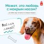 � ����� ������ ����� ��� ��� ���-�� ����?