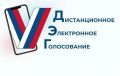 Более 155 тыс. жителей Прикамья будут голосовать через интернет