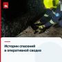 Эти истории могли закончиться трагедией, если бы на помощь не пришли наши спасатели