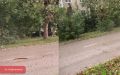По проекту #Пермьвпорядке делаем город чище и опрятнее