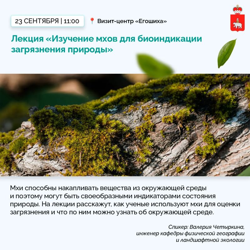 Что мхи могут рассказать о загрязнении природы? Почему реки выходят из берегов? И что происходит с почвой после ландшафтных пожаров? Что мхи могут рассказать о загрязнении природы? Почему реки выходят из берегов? И что происходит с почвой после ландшафтных пожаров?