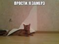 ��������� ��������� � �������� ����