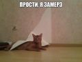 ��������� ��������� � �������� ����