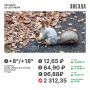 Доброе утро, Пермь!. В четверг российский рынок акций снова показал рост на фоне подорожания нефти и появления данных Росстата о замедлении инфляции