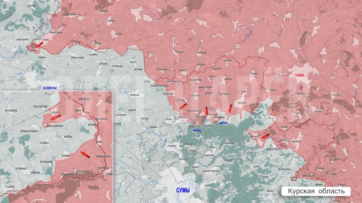 Олег Царёв: Фронтовая сводка 25 сентября Олег Царёв: Фронтовая сводка 25 сентября