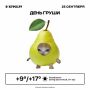 Доброе утро, Пермь! Днем будет до +17 градусов