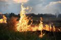 Минприроды: пожароопасный сезон в лесах Пермского края завершён