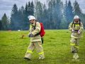 Количество лесных пожаров в Пермском крае за год снизилось в 1,2 раза