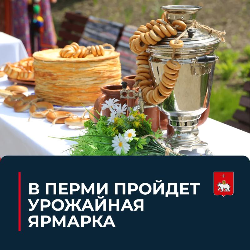 Собрали урожай и хорошее настроение для вас на ярмарке в Кировском районе