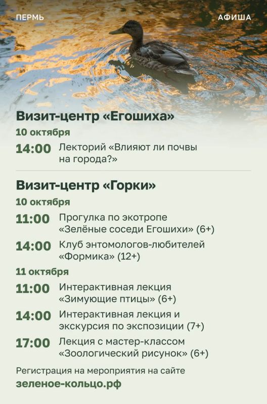 Эдуард Соснин: #Афиша_Перми. В выходные пермяков ждут культурные, экологические и спортивные мероприятия Эдуард Соснин: #Афиша_Перми. В выходные пермяков ждут культурные, экологические и спортивные мероприятия
