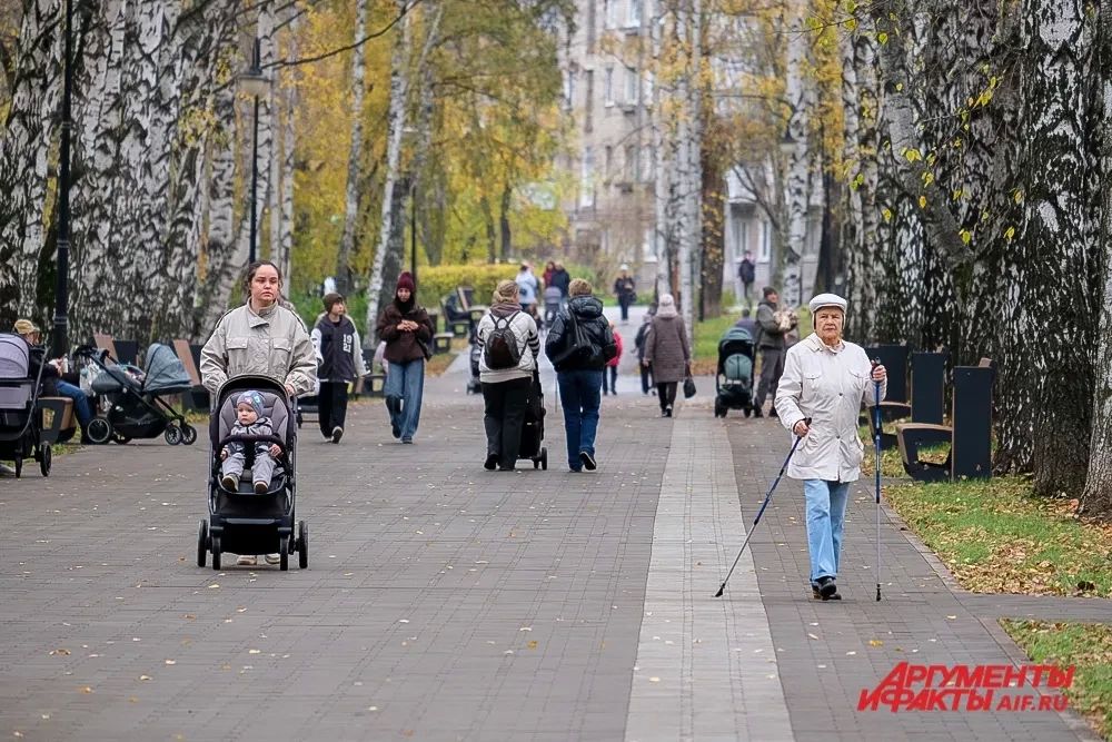 Сад имени Миндовского в Перми частично открыли после реконструкции Сад имени Миндовского в Перми частично открыли после реконструкции