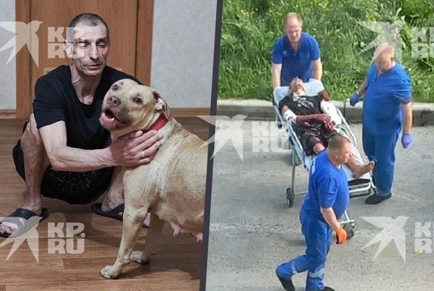 «Носит гипс и ведет тихий образ жизни» Хозяина бойцовых собак, покусавших пермского инженера, а потом и его самого, выписали из больницы