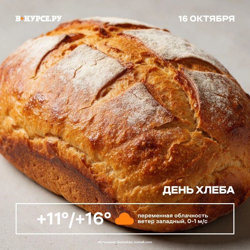 Доброе утро, Пермь! Воздух прогреется до +16 градусов