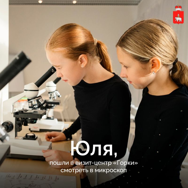 Откройте для себя леса и парки «Зеленого кольца» Откройте для себя леса и парки «Зеленого кольца»