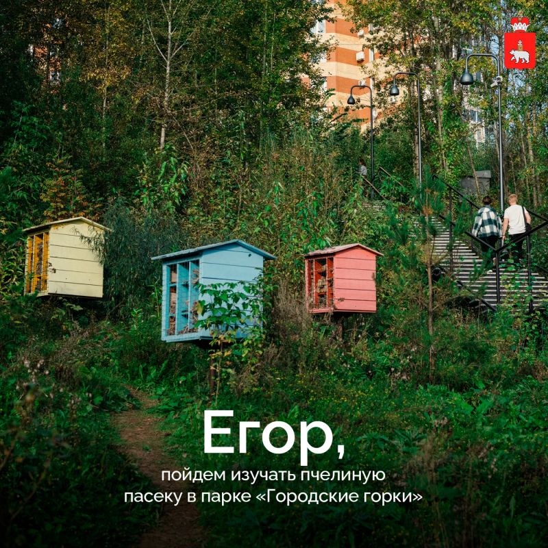 Откройте для себя леса и парки «Зеленого кольца» Откройте для себя леса и парки «Зеленого кольца»