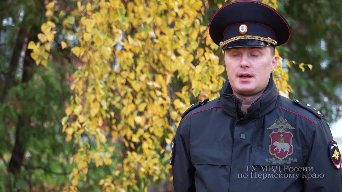 В Перми правоохранители изъяли около 500 тысяч пачек немаркированной табачной продукции