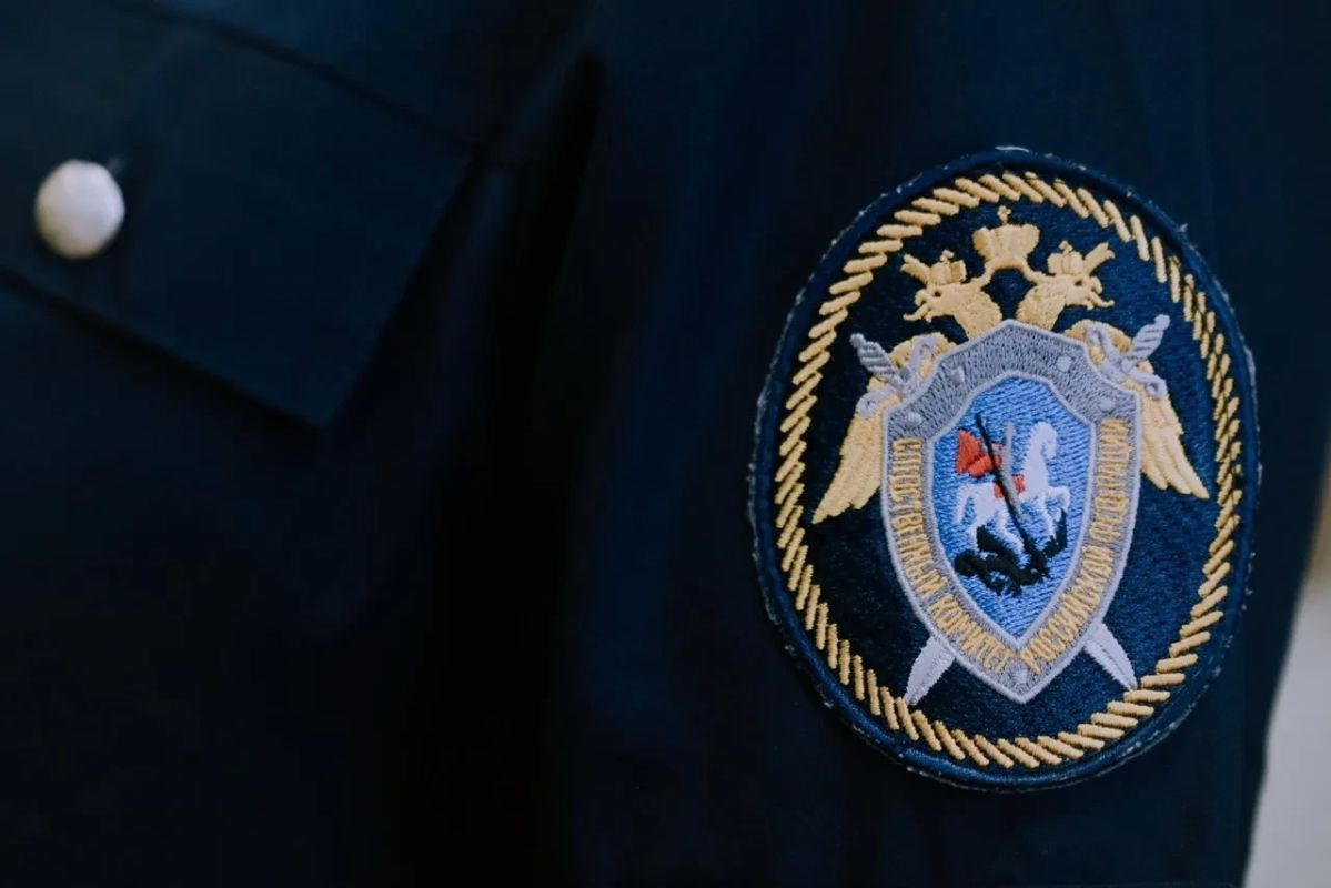 Глава СК РФ Александр Бастрыкин поручил доложить о расследовании обстоятельств смерти четырёхмесячной девочки в краевой детской больнице Перми