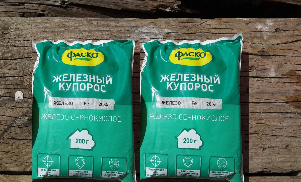 Как железный купорос спасает сад: эффективное решение для защиты растений