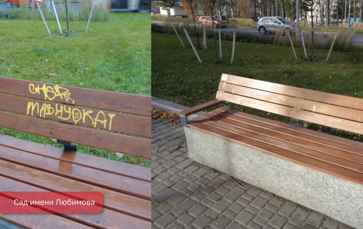 Чисто по-пермски. . На фасаде здания на улице Ленина, 42 и на скамейке в саду имени Любимова были устранены незаконные граффити, а на контейнерной площадке около дома на шоссе Космонавтов, 102 был убран разбросанный мусор Чисто по-пермски. . На фасаде здания на улице Ленина, 42 и на скамейке в саду имени Любимова были устранены незаконные граффити, а на контейнерной площадке около дома на шоссе Космонавтов, 102 был убран разбросанный мусор
