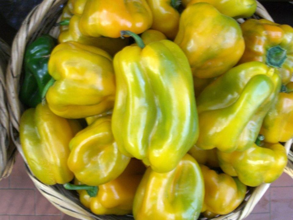 Как простая подкормка превращает перцы в настоящие урожайные чемпионы