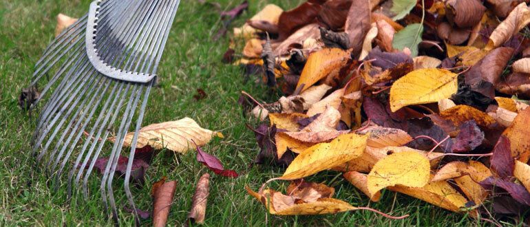 Как подготовить сад к зиме: сентябрьская пора забот и уходов