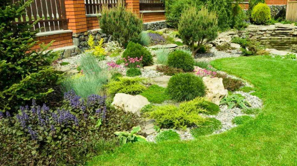 Как создать живую изгородь всего за 340 рублей за куст: секреты опытных садоводов