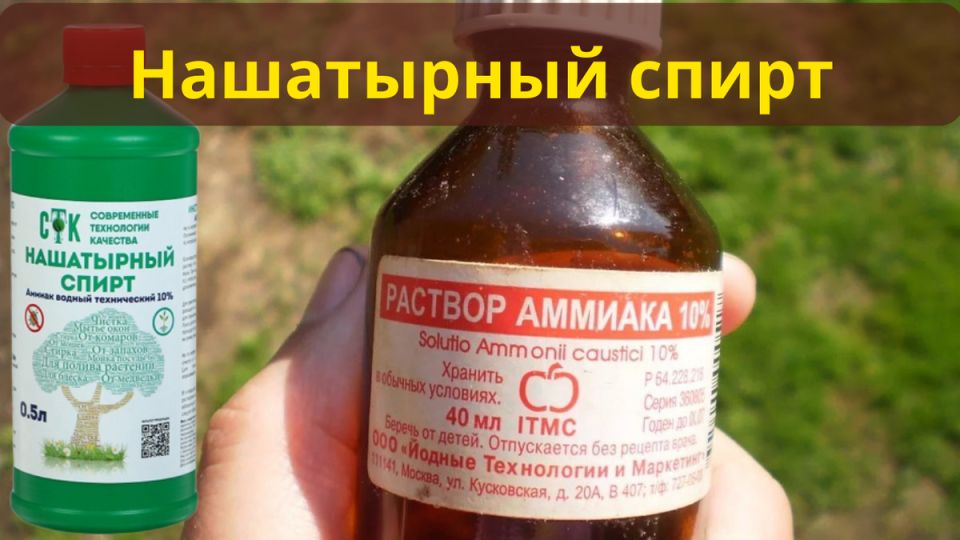 Нашатырный спирт: ваш надежный союзник в садоводстве