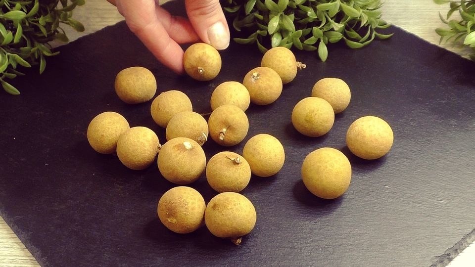 Лонган: загадочный фрукт, покоряющий полки «Пятёрочки»