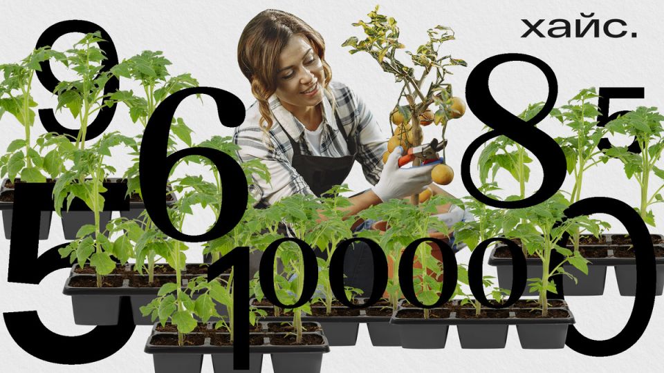 Пенсионная свобода в 40: как накопить на ранний выход на пенсию в России