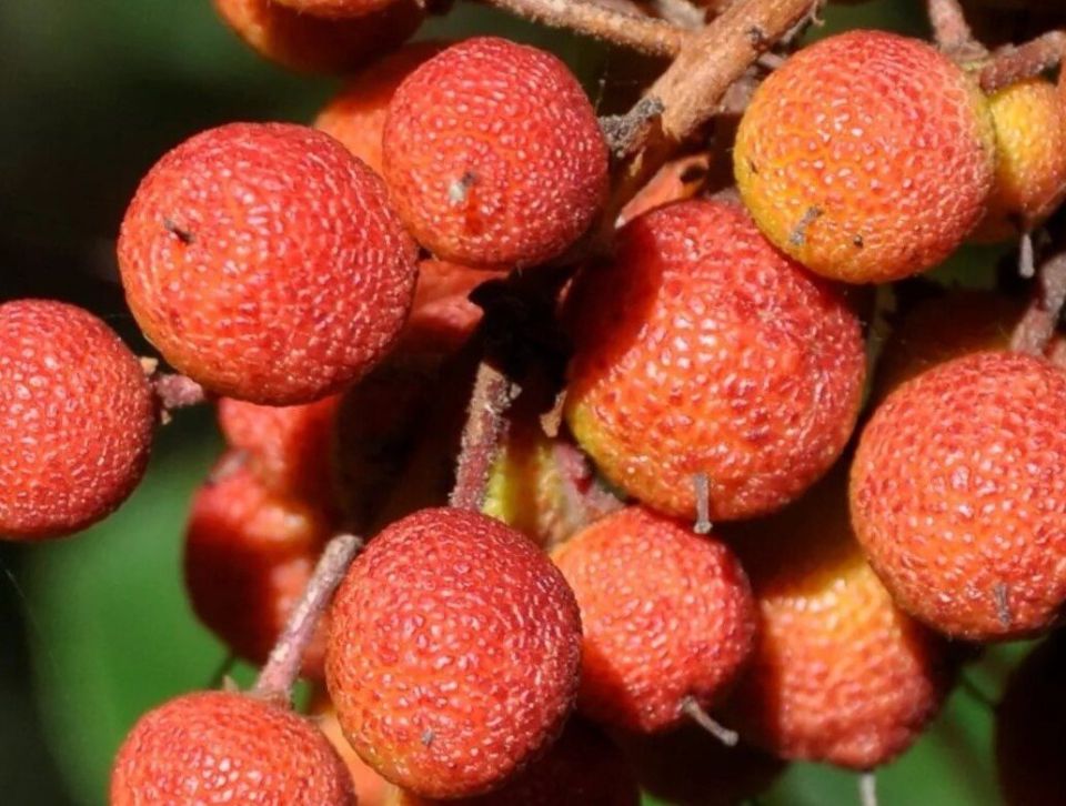 ����������� ������: ���������� ����� � ������������ ����������