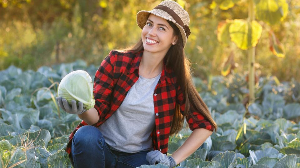 ������� �������� ��� ������ ������: �� ���������� ���� ���� ������