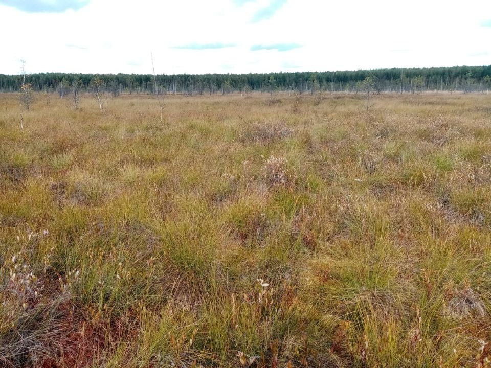 �������� �� ������: ��� �� ���������� ����� ������