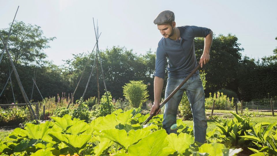 ������� �� ������ ������ ��� ��������� ������: ������ �������� ����������� ��������