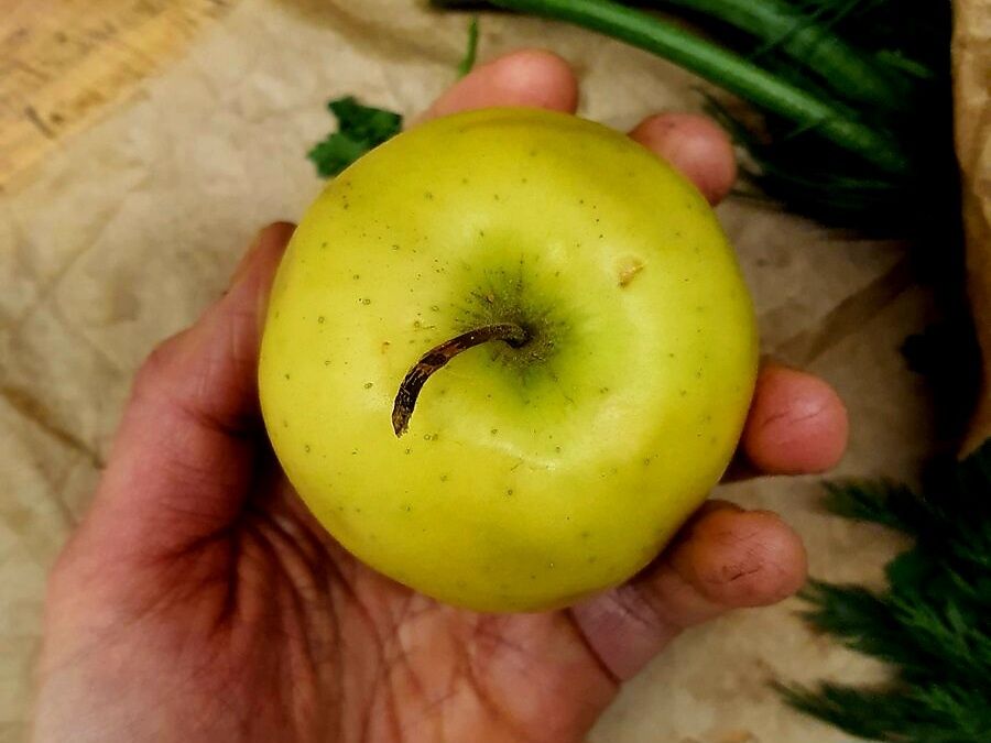 ��������� ��������� �������: ��� ������ �� ������ ������ �� ����, �� � �� �������