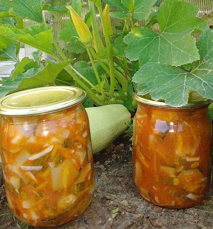 ������� �� ����: ������������ �������, ������� �������� � �������� ����� ����