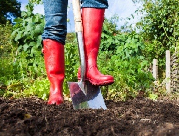 5 ������� �������� ���������� �� ������ �������� � 2026 ����