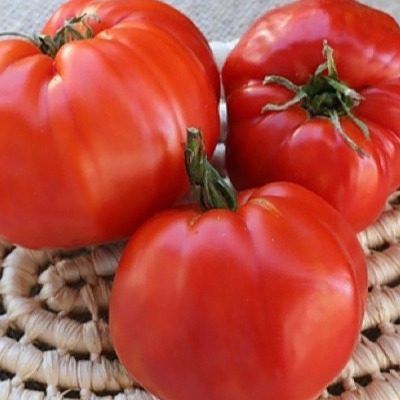 ����� ������� 117: ���������� ������ � ����������� �������