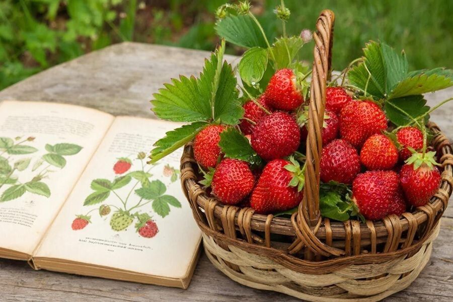 �������� ��� ���������: � ������� ������ � ������