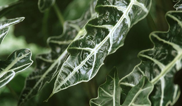 ��������: ������� ����� ��� �������� � �������� �������