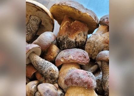 ��������� �����: ������� ������ ��� ��������