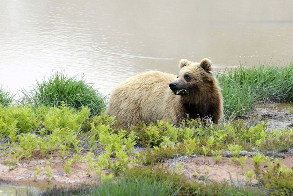 � ������ ��������� ��������� ��������� ������ ������������ ��� ��������� ����