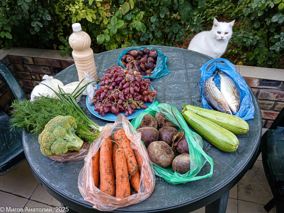 Рынок и двор: живой карп, азовская кефаль и сладкий инжир — как прошла продуктовая прогулка