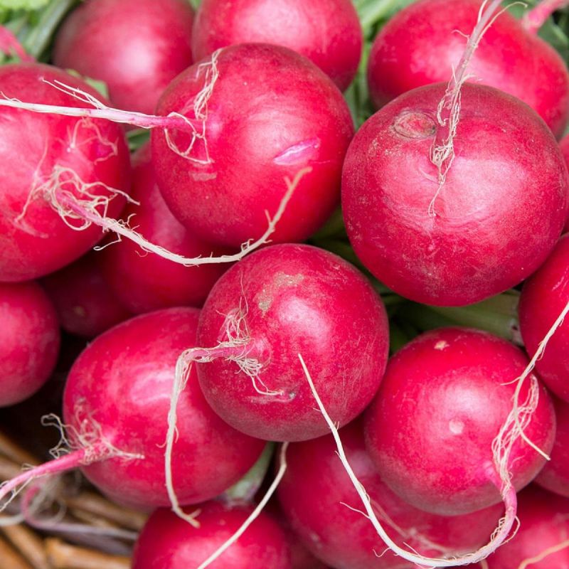 ��� �������� ������������ ������ ������: ������� �����������