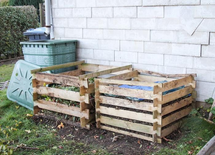 Компост и перегной: важные отличия для вашего сада